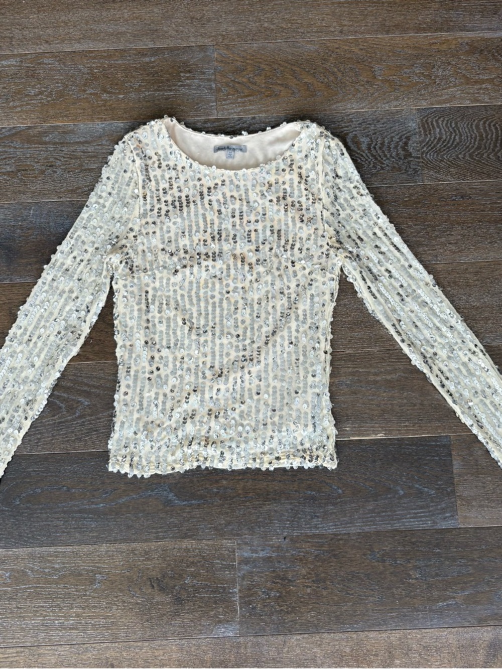 Vintage Charlotte Russe Silver Sequin Top